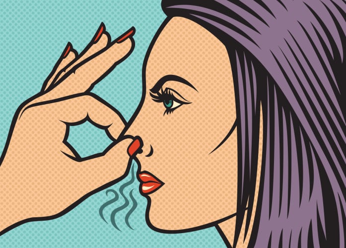 woman holding her nose because of a bad smell (illustration in pop art style)